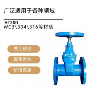 硫酸廠(chǎng)閘閥Z41W-10RL DN50材質(zhì)316L